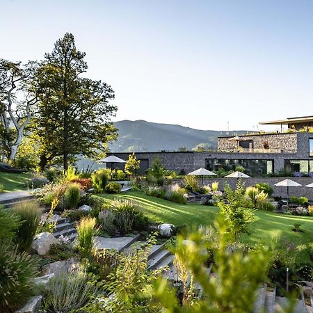 Luisenhoehe - Gesundheitsresort Schwarzwald Horben Zewnętrze zdjęcie
